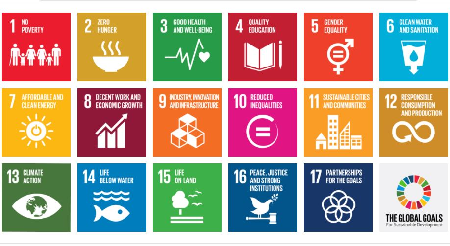 the progress on sustainable development goals essay in english